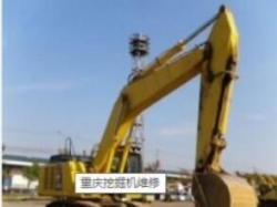 重慶好色网站在线观看